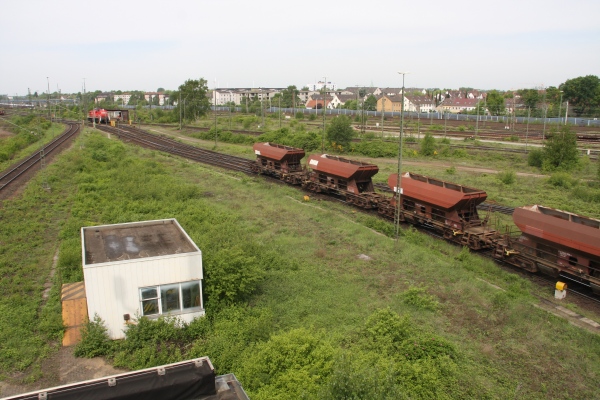 Seelze100   037.jpg